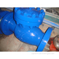 Check Valve